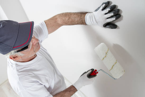 Reliable San Antonio, FL Drywall and Painting Service Solutions